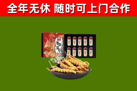 博山烟酒回收冬虫夏草礼盒.jpg
